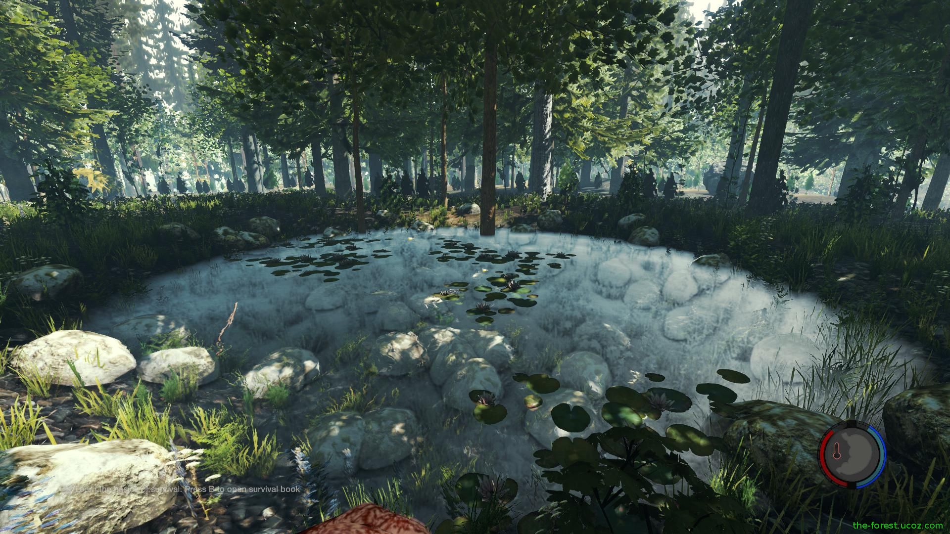 the forest скачать 0.21