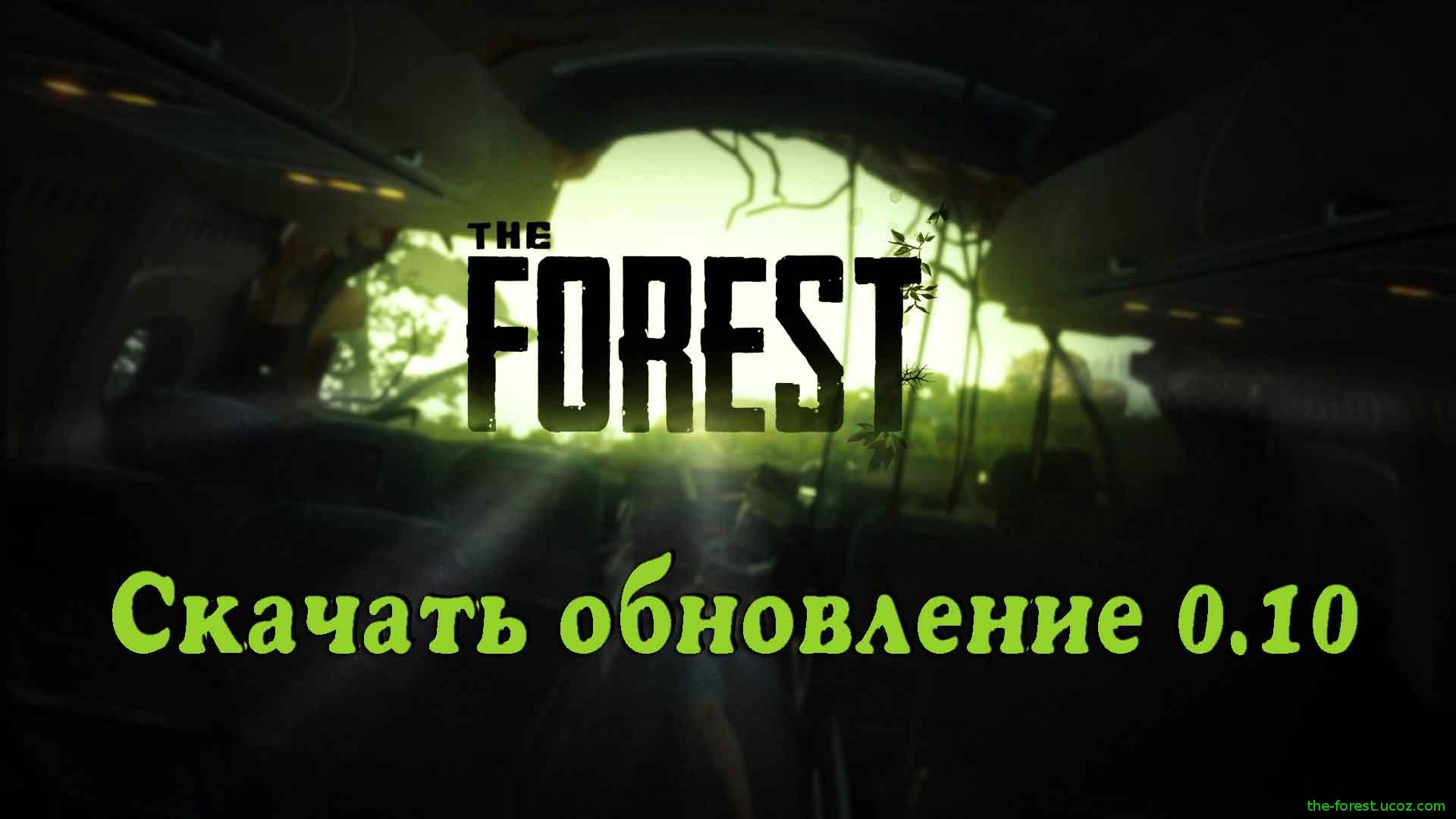 the forest